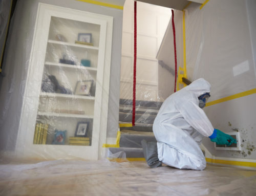 Safety Equipment for Mold Remediation